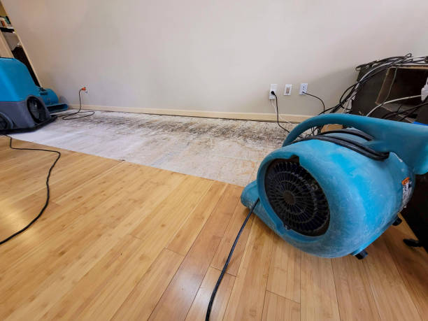 Professional Ceiling Water Damage Repair technician working in Trinity, NC